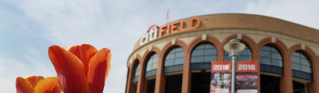 New york mets radio
